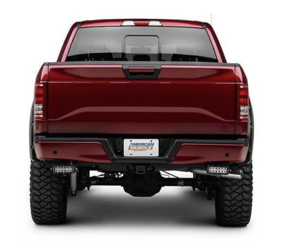 T-Rex Rear Bumper/Frame LED 15-17 F-150